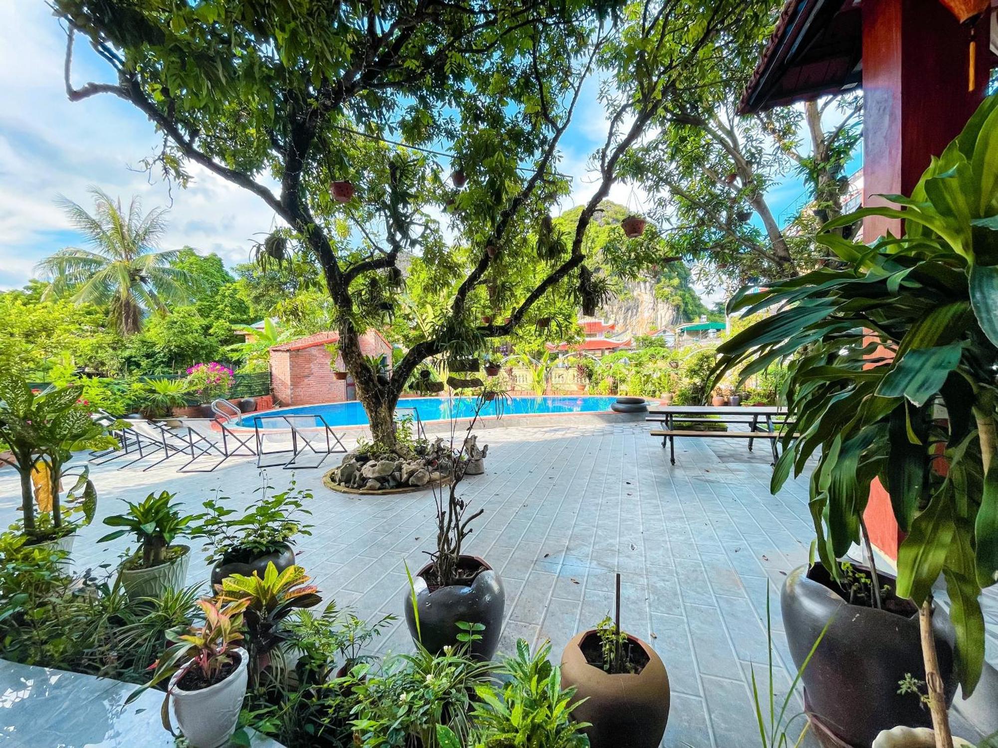 Ninh Binh Kong'S Homestay Nguyen Ngoai Exterior photo